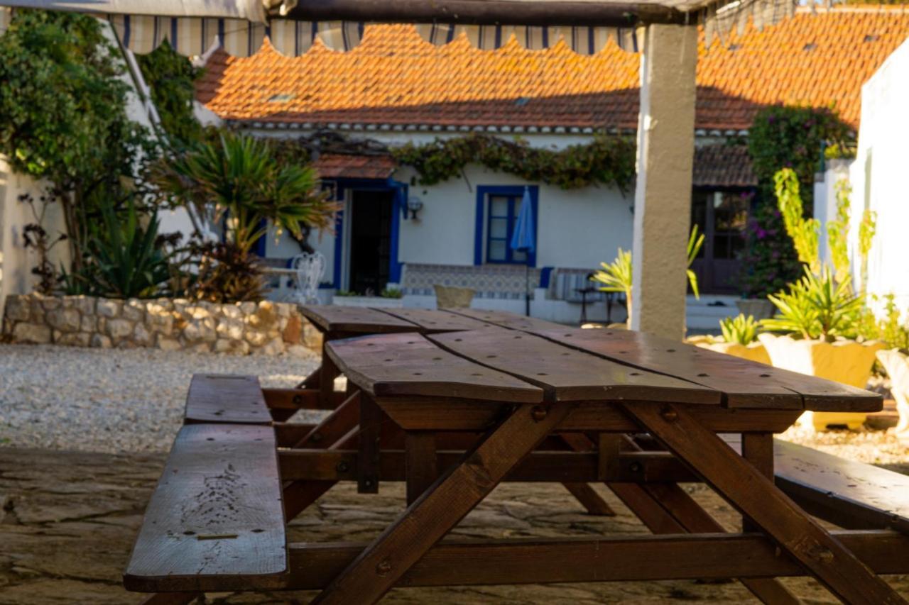 Quinta Agave *