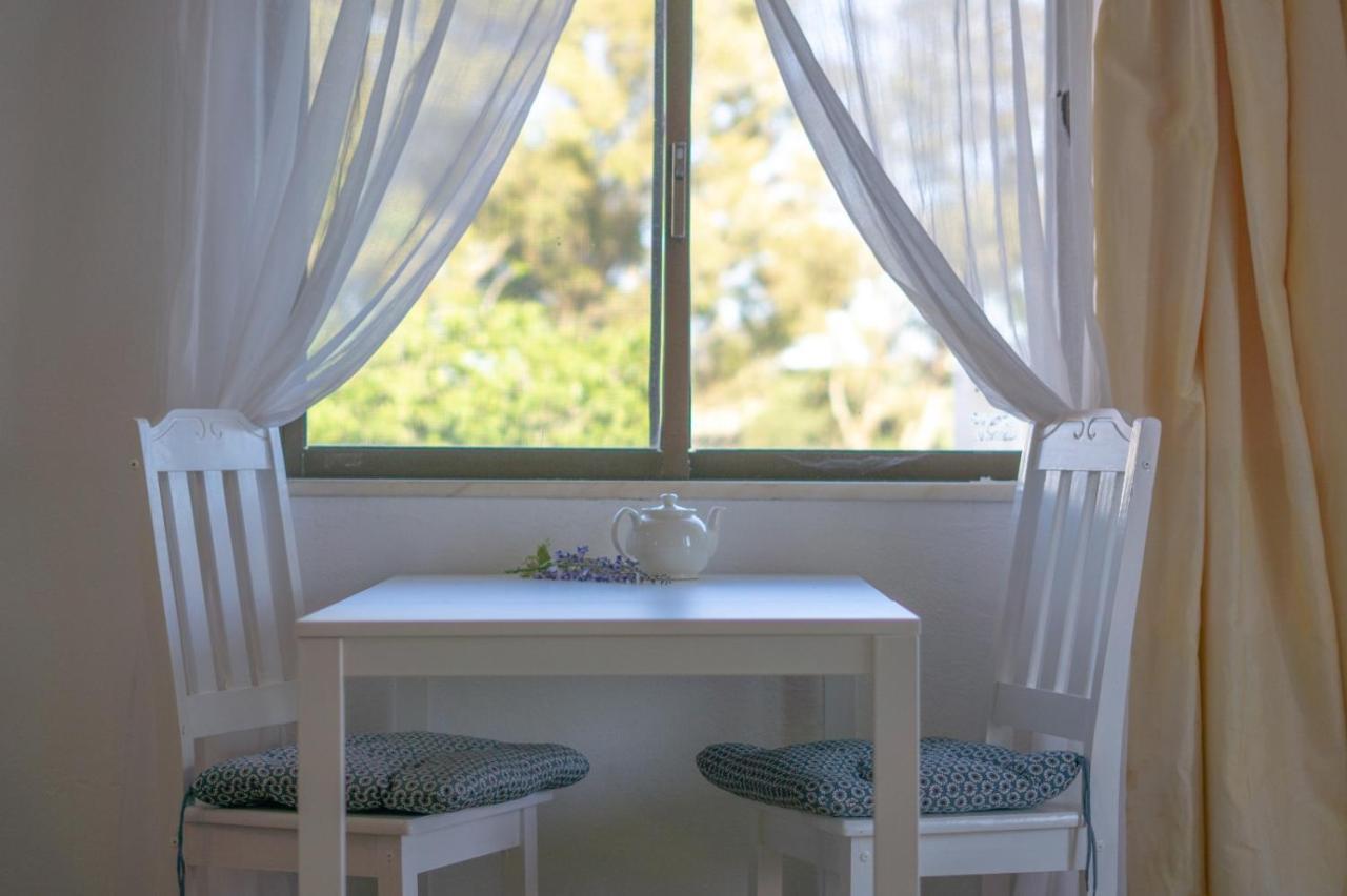 Quinta Agave Apartamento